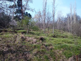 Fotoğraf 16