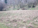 Fotoğraf 12