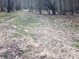 Fotoğraf 14
