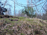 Fotoğraf 15