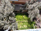 Fotoğraf 12