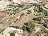 Fotoğraf 22
