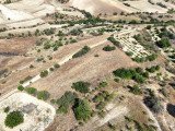Fotoğraf 23