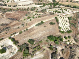 Fotoğraf 26