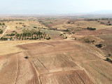 Fotoğraf 16