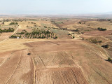 Fotoğraf 17