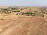 Fotoğraf 19