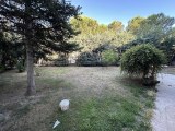 Fotoğraf 31
