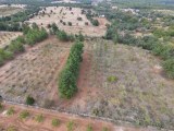 KIZILCABÖLÜK'TE 17.845 M² YETİŞKİN BADEM AĞAÇLI SATILIK TARLA